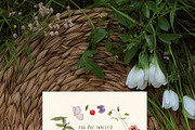 Spring Watercolor Illustrations, a Decorative Illustration by whiteheartdesign (Thumbnail 19 of 30)