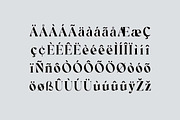 Retrosome Retro Serif Display Font, a Serif Font by UICreative (Thumbnail 8 of 13)