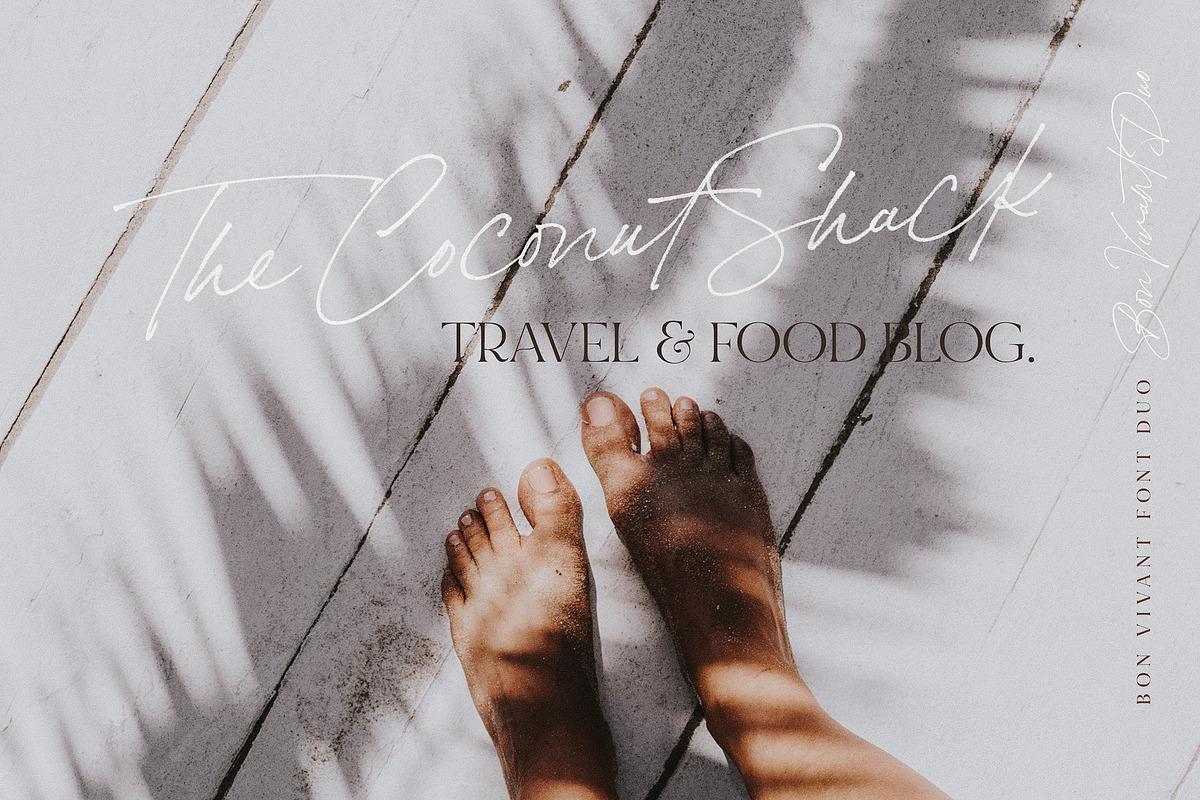 Bon Vivant Collection, a Serif Font by Nicky Laatz (Photo 22 of 44)