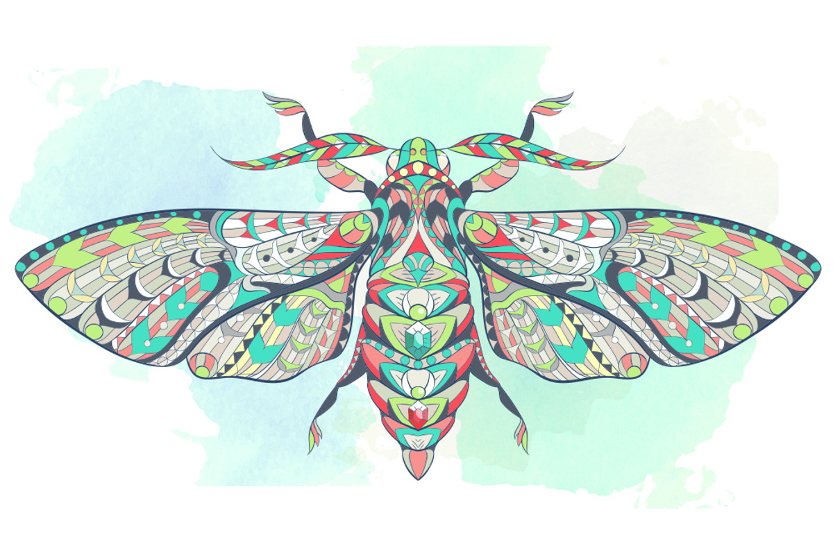 Ethnic Collection: Moth, an Animal Illustration by ArtoJoy (Photo 2 of 4)