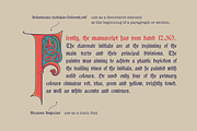 Bohemian medieval initials, a Blackletter Font by kaer_shop (Thumbnail 5 of 12)