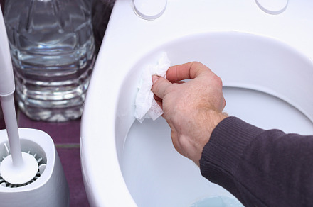 The man wipes the toilet with napkin. Cleaning of the house, bathroom., a Person Photo by Detriana
