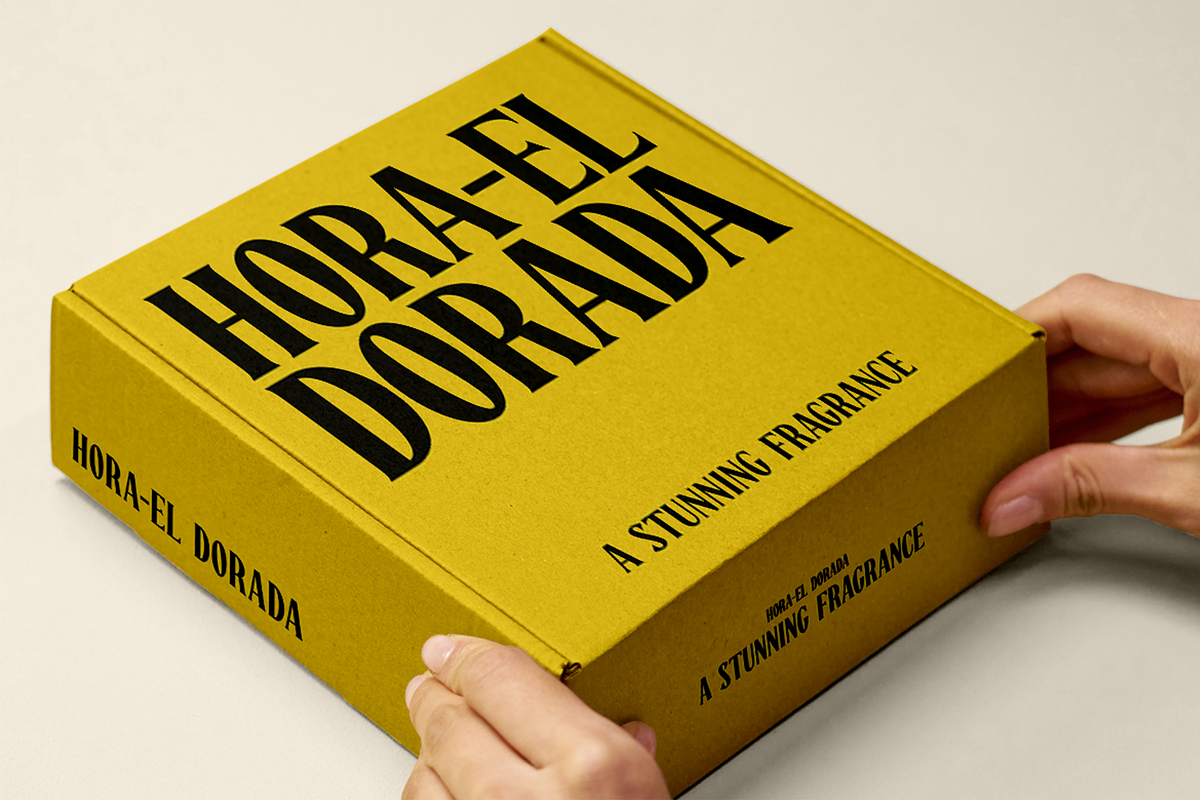 CHEVILE - Bold Elegant Display Font, a Serif Font by Pekotype (Photo 7 of 13)