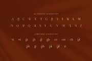 Bugilen Elegant Serif Font, a Serif Font by Graphicxell (Thumbnail 7 of 8)