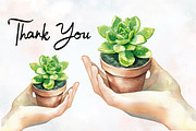 Succulent Watercolor Cliparts, an Illustration by RobertsArt (Thumbnail 5 of 7)