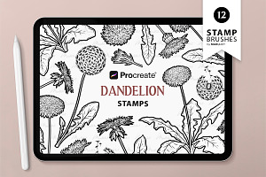 12 Dandelion Procreate Brush Stamps