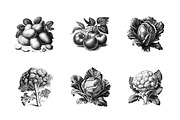 Vegetables in engraving style / 02, a Food Illustration by Graxaim Mock-up (Thumbnail 3 of 4)
