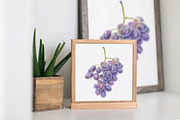 Watercolor exotic fruits, an Illustration by miminoshka (Thumbnail 5 of 7)