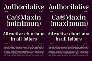 Anria Typeface, a Serif Font by Khoir (Thumbnail 5 of 12)