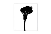 Black Lily Flower Vector Bundle, an Illustration by Designs_River (Thumbnail 34 of 51)
