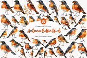 Autumn American Robin Bird Clipart, an Illustration by SinaCreation (Thumbnail 1 of 5)