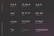 Argumend | A Humanistic Slab Serif, a Slab Serif Font by Ayca Atalay (Thumbnail 6 of 8)