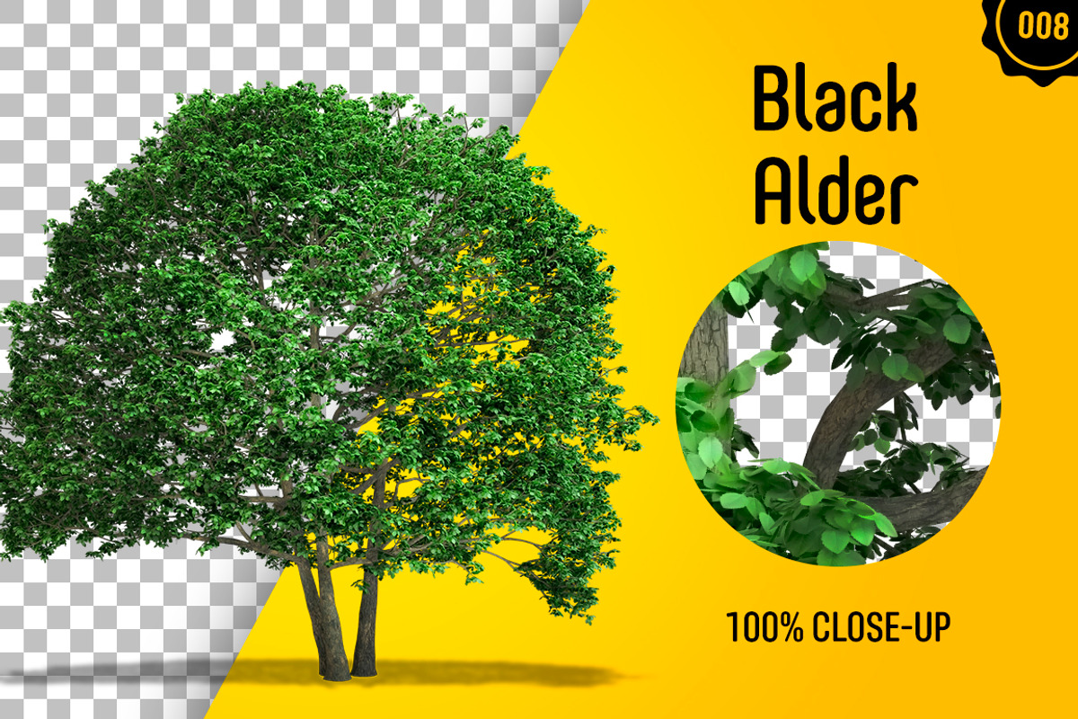 CUT OUT TREES - 60 PCS BUNDLE, a Packaging Mockup by 3DSTORE (Photo 9 of 63)