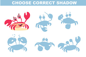 Crab shadows. choice correct, an Education Illustration by Onyx