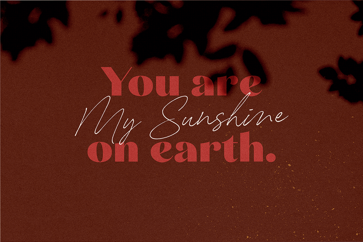 Carneys Gallery Font Duo, a Sans Serif Font by Letteralle Studios (Photo 6 of 16)