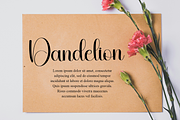 Autumn, a Handwritten Font by InermediaSTUDIO (Thumbnail 8 of 8)