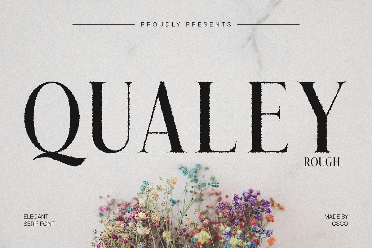 Qualey Rough, a Serif Font by Craft Supply Co. (Photo 1 of 8)
