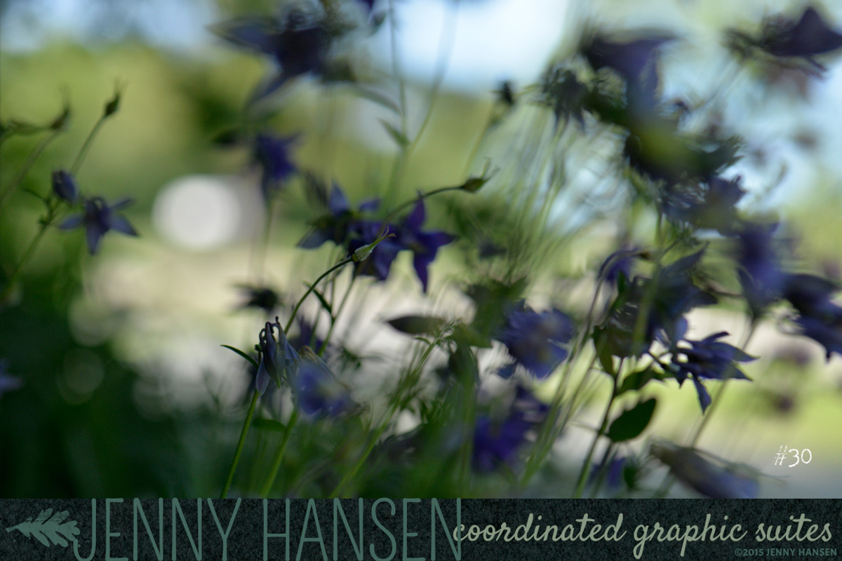 Photo Bundle: Mysterious Foliage preview 7