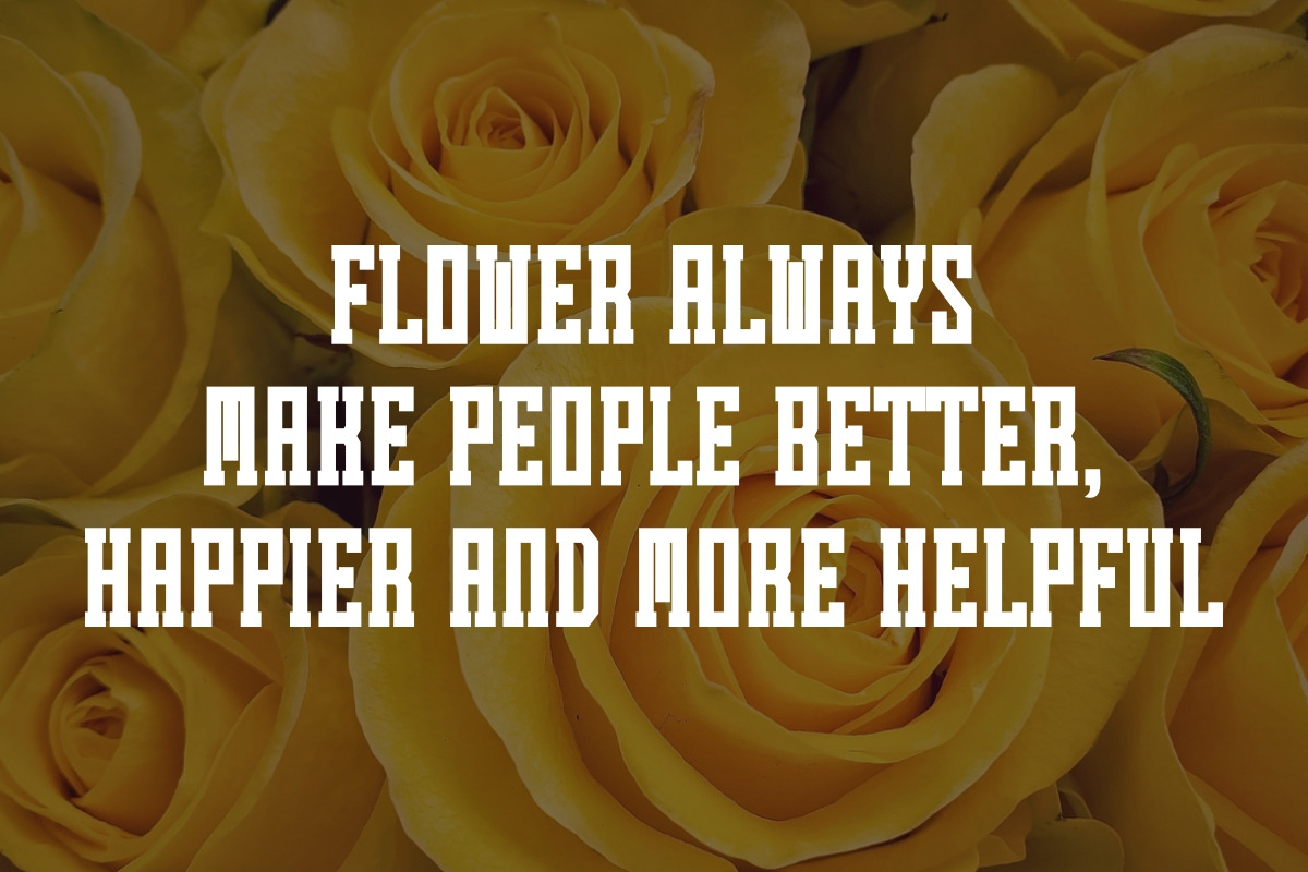 Summer Flowers - Vintage Slab Serif, a Slab Serif Font by Pian45 Studio (Photo 3 of 12)