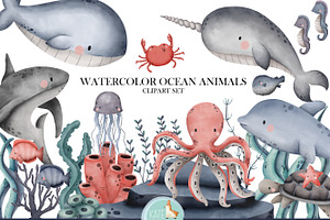 Ocean Animals