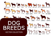 Dog Breeds Vector Pack, an Education Illustration by Andres M Rodriguez (Thumbnail 1 of 3)