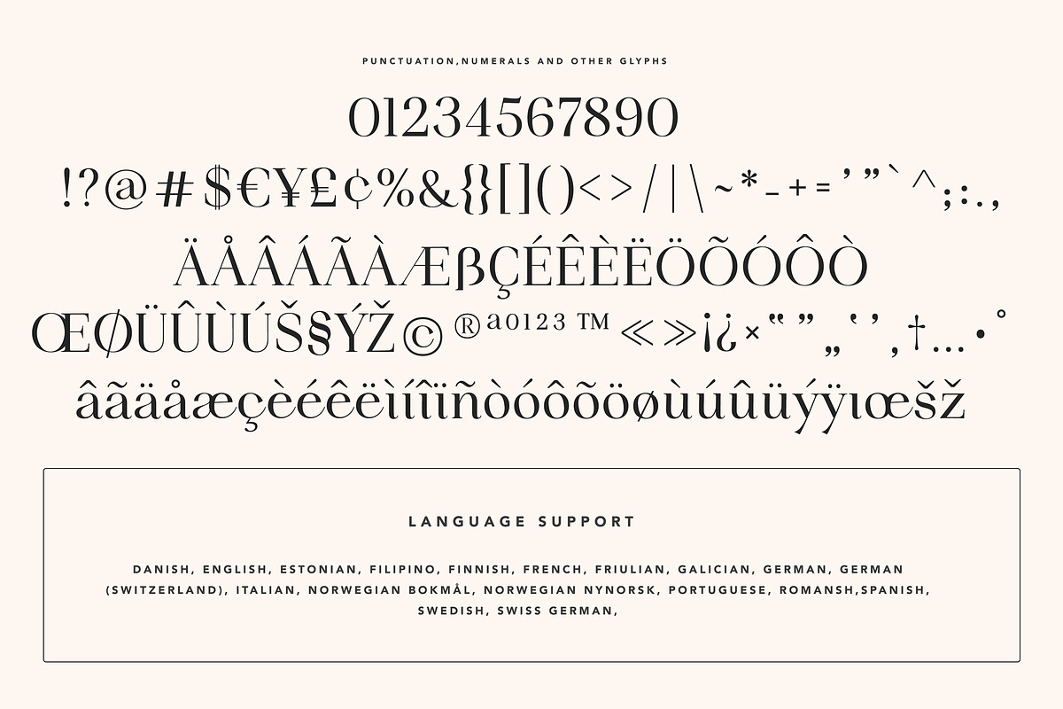 Idealist Serif, a Serif Font by Nicky Laatz (Photo 34 of 34)