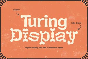 Turing Display