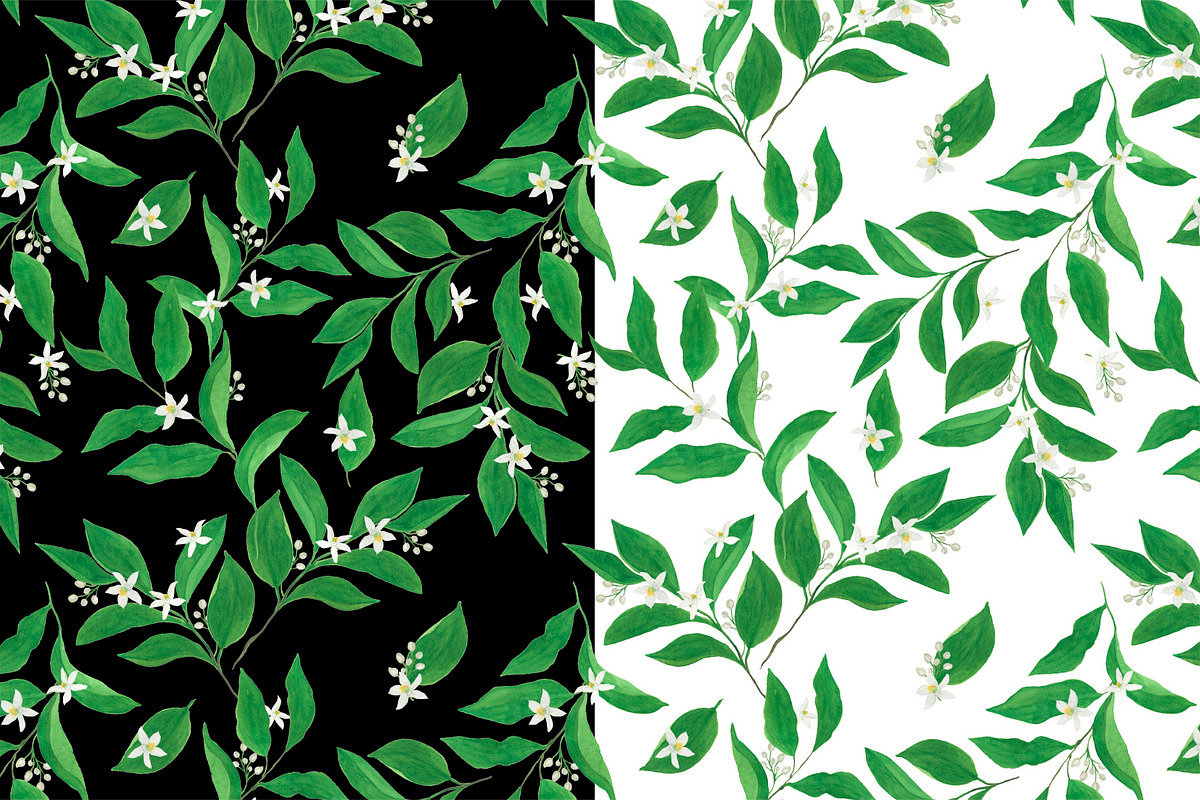 Citrus collection, a Pattern Graphic by ramika (Photo 5 of 9)