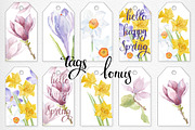 Spring flowers. Watercolor set., an Illustration by maritime_m (Thumbnail 6 of 7)