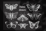 Butterfly moths bugs Procreate Stamp, a Brush Add-On by MakeMyPlaceDesign (Thumbnail 2 of 3)