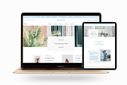 Clarity: WordPress + Elementor Theme, a WordPress Template by Site Culture (Thumbnail 1 of 2)