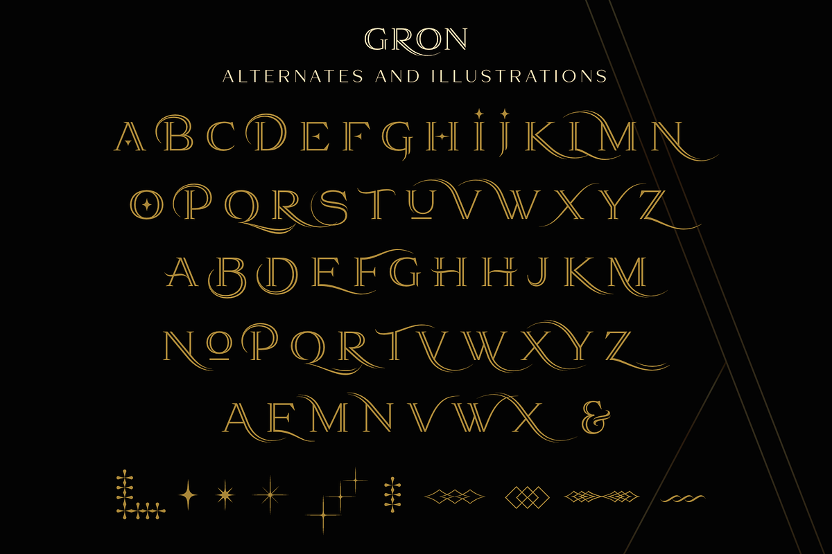Gron, a Serif Font by Larin Type Co. (Photo 12 of 12)