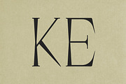Gyro Serif Display, a Serif Font by Alandya TypeFoundry (Thumbnail 10 of 12)