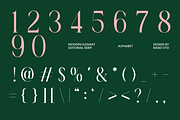 La Carena Modern Elegant Serif Font, a Serif Font by Rasio Studio (Thumbnail 3 of 9)