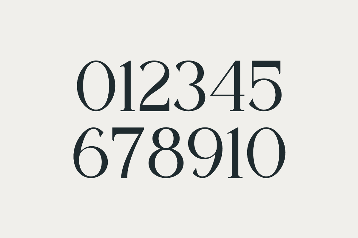 The New Seasone, a Serif Font by RockboyStd (Photo 12 of 12)