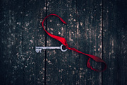 5 Lightroom Presets in dark tones, an Action Add-On by Elijah (Thumbnail 4 of 9)