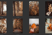 Cozy FALL Season (45 images), a Nature Photo by studiottander (Thumbnail 6 of 9)