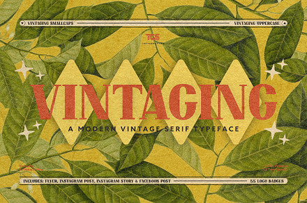 Vintaging Typeface, a Serif Font by The Good Store