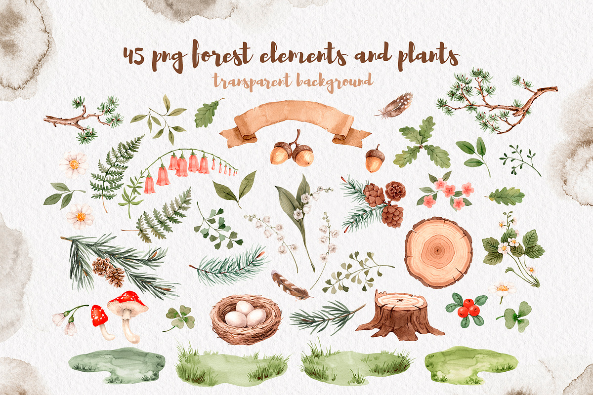 Watercolor Forest Animals set, an Animal Illustration by Alamella (Photo 9 of 12)