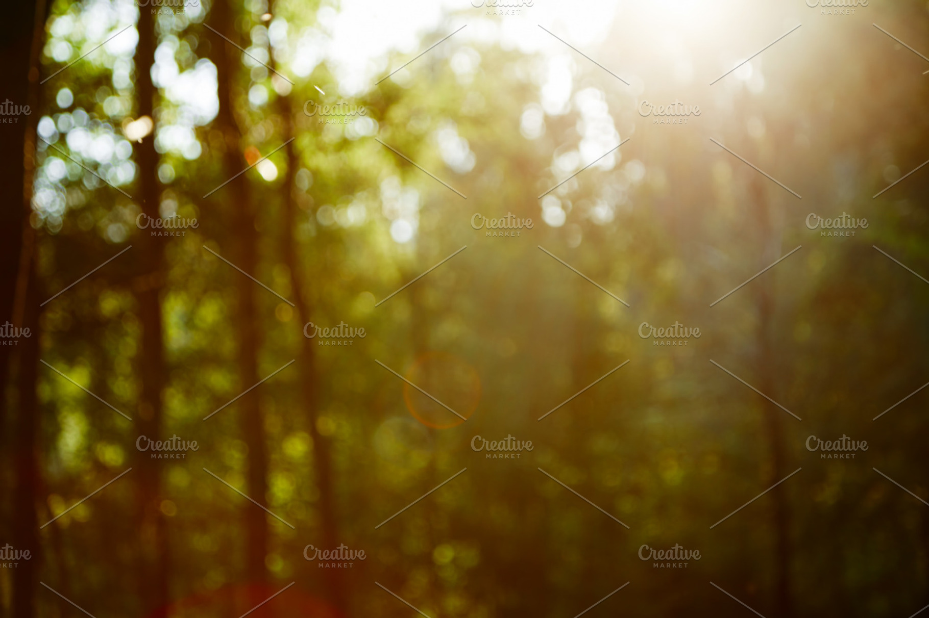 Vintage retro blurred forest landscape with leaks and bokeh stock photo, an Abstract Photo by ArtChamomile