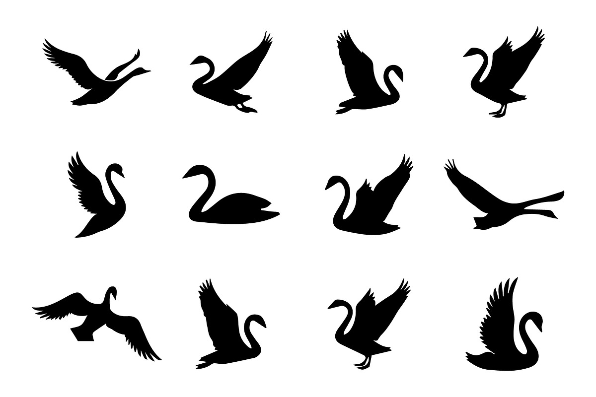 Collection of Silhouettes of swans, an Animal Illustration by nandinigraphics (Photo 4 of 4)