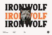 CS Naura Drawn, a Serif Font by Craft Supply Co. (Thumbnail 6 of 8)