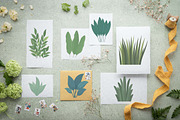 25 Leaves Foliage Leaf Nature Plant, a Decorative Illustration by jongcreative (Thumbnail 2 of 7)