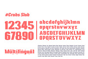 Crabs Slab Serif Font, a Slab Serif Font by Ardyanatypes (Thumbnail 11 of 12)