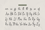 Slushy Nostalgic Vintage Handwritten, a Script Font by Denustudios (Thumbnail 11 of 12)