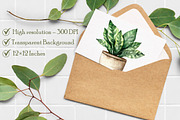 Watercolor Home Plants Clipart, an Illustration by Libby Wishes (Thumbnail 7 of 7)