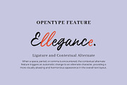 Ambrosany Script, a Script Font by Get Studio (Thumbnail 3 of 14)