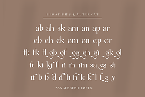 Vanger _ Modern Serif Font