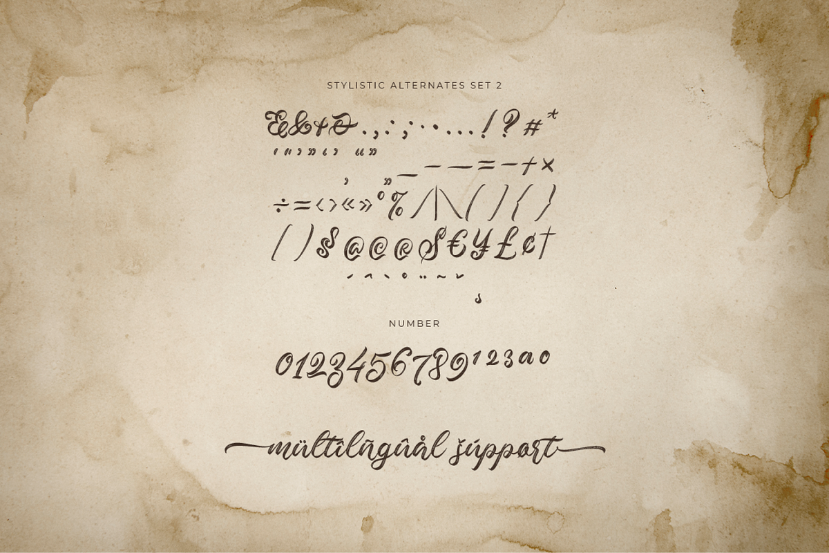 Valleita Script, a Script Font by Colllab Studio (Photo 11 of 19)