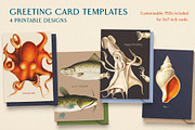 60 Vintage Marine Creatures, an Illustration by The Object Atlas (Thumbnail 6 of 8)